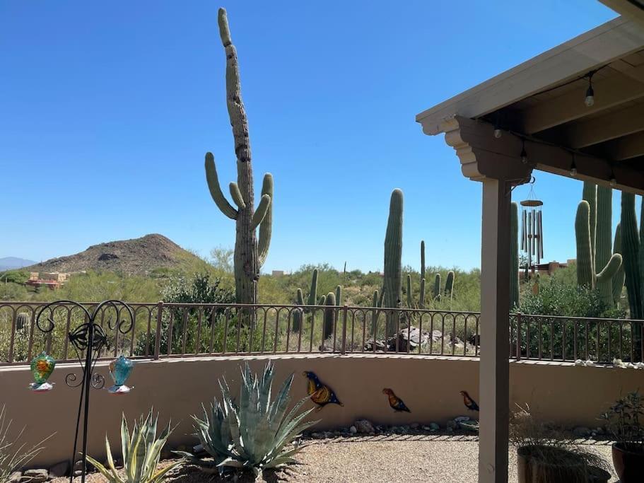 Tucson Mnt Foothills Saguaro Bliss Villa ภายนอก รูปภาพ