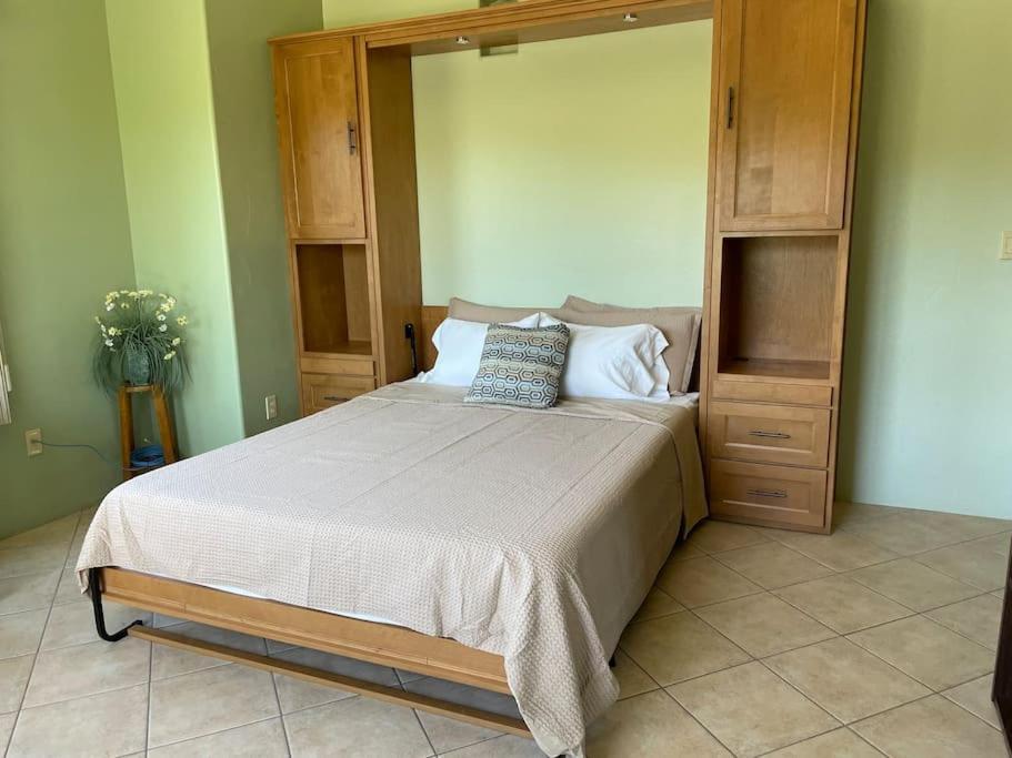 Tucson Mnt Foothills Saguaro Bliss Villa ภายนอก รูปภาพ