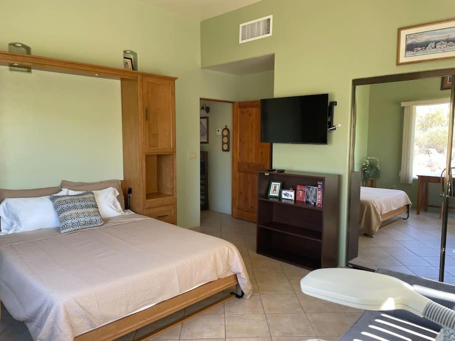 Tucson Mnt Foothills Saguaro Bliss Villa ภายนอก รูปภาพ