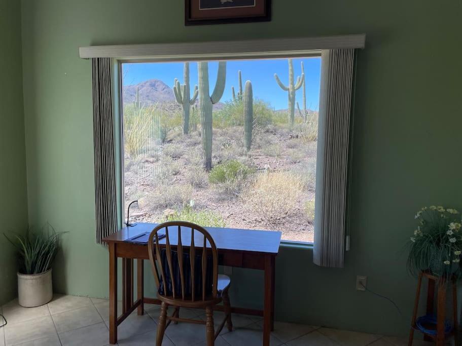 Tucson Mnt Foothills Saguaro Bliss Villa ภายนอก รูปภาพ
