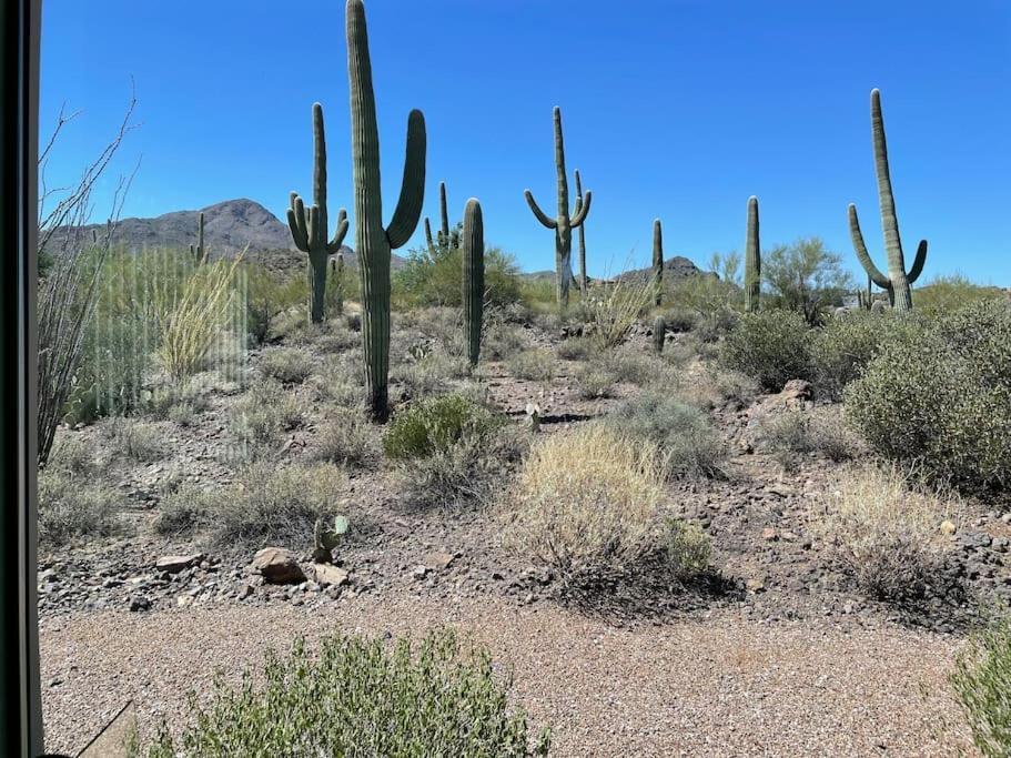 Tucson Mnt Foothills Saguaro Bliss Villa ภายนอก รูปภาพ