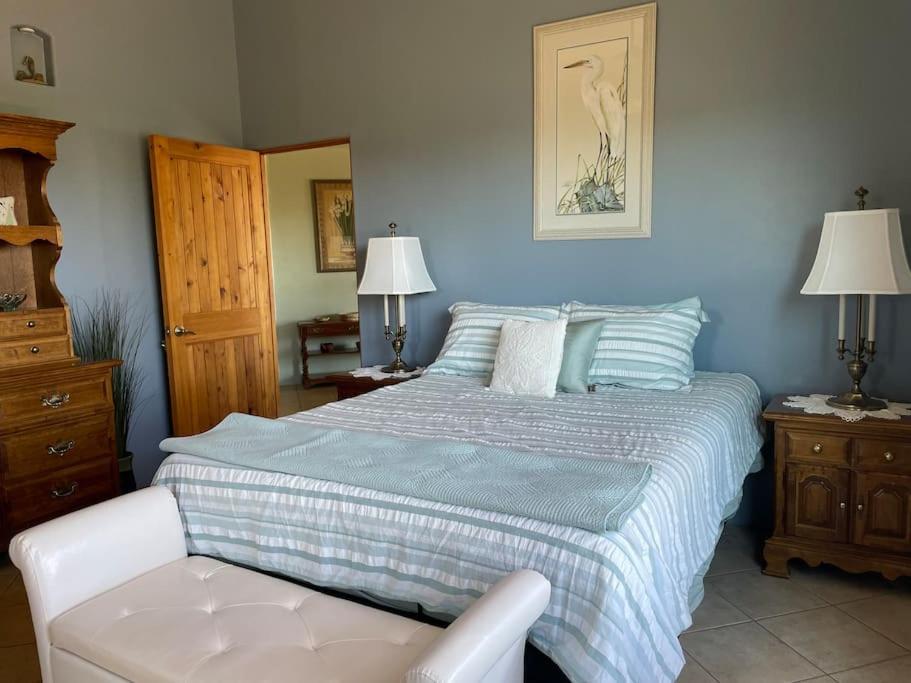 Tucson Mnt Foothills Saguaro Bliss Villa ภายนอก รูปภาพ