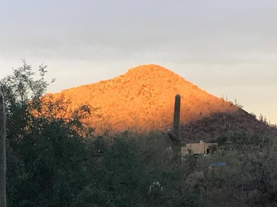 Tucson Mnt Foothills Saguaro Bliss Villa ภายนอก รูปภาพ