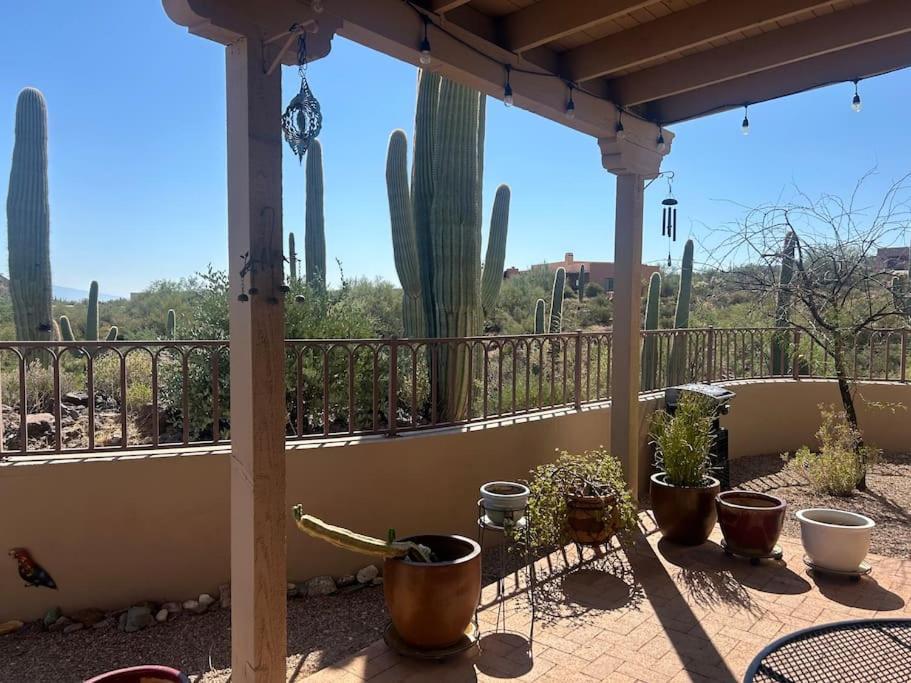 Tucson Mnt Foothills Saguaro Bliss Villa ภายนอก รูปภาพ